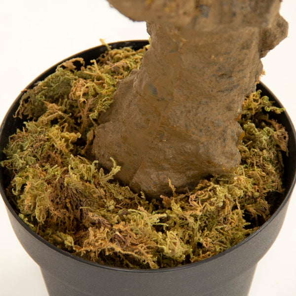 Zentique Faux realistic floor plant with wood accent base — low-maintenance, fade-resistant greenery décor W34 x H70 x D33 ZEN-180503-31