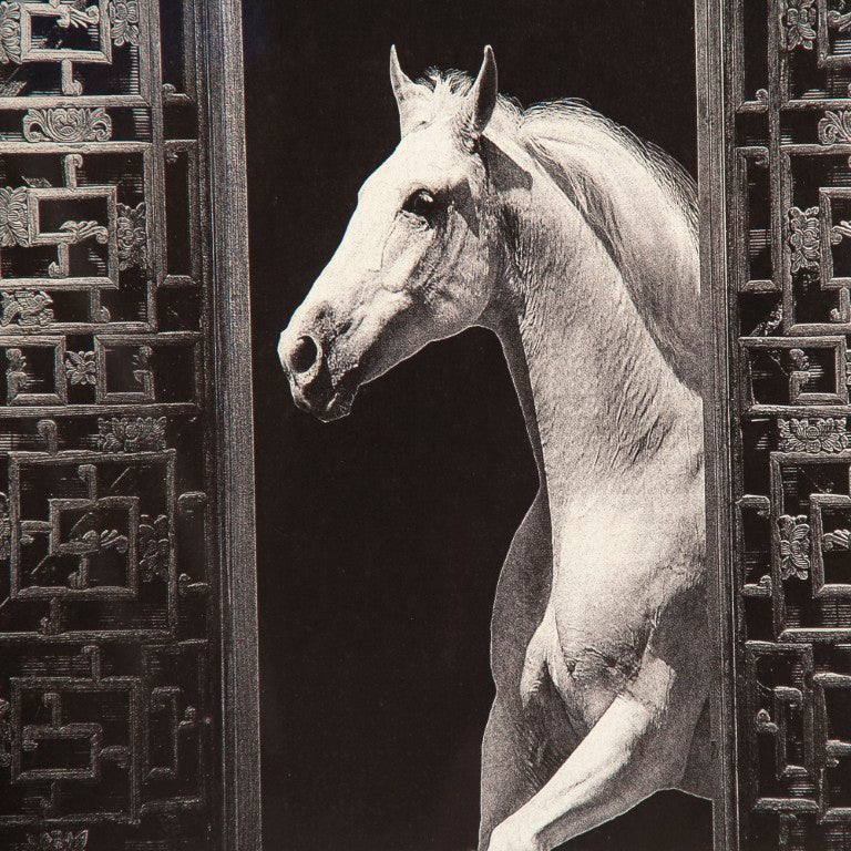 Zentique Horse Moon Art Print - 24x36 Ready-to-Hang Horse Silhouette Against Moon, Iron Frame, Glass Protected, Modern Wall Decor ZEN-29158-2B