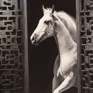 Zentique Horse Moon Art Print - 24x36 Ready-to-Hang Horse Silhouette Against Moon, Iron Frame, Glass Protected, Modern Wall Decor ZEN-29158-2B