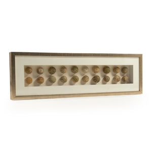 Zentique Abstract Shell Art Layered Coastal Wall Sculpture, Neutral Textured Pine & Glass, Ready-to-Hang Elegance ZEN18291A