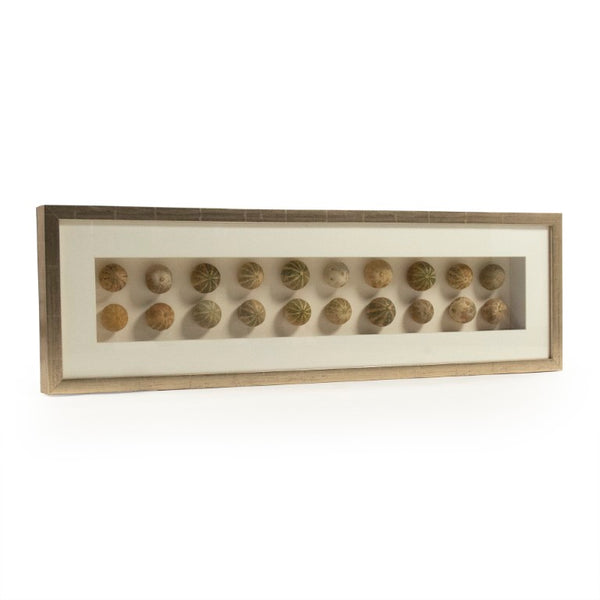 Zentique Abstract Shell Art Layered Coastal Wall Sculpture, Neutral Textured Pine & Glass, Ready-to-Hang Elegance ZEN18291A