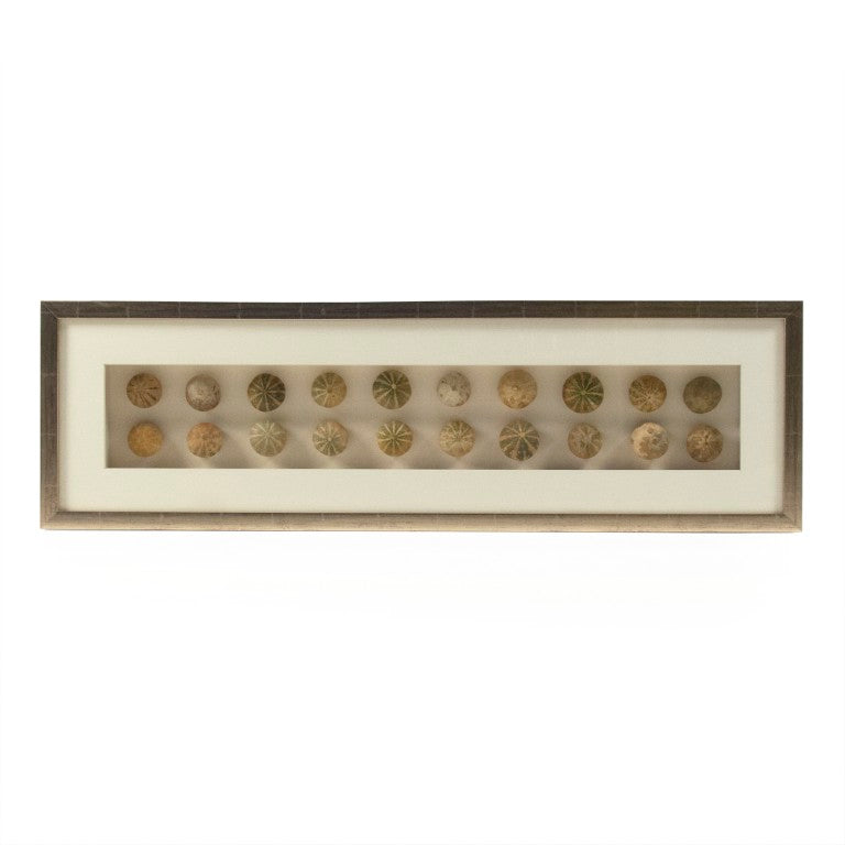 Zentique Abstract Shell Art Layered Coastal Wall Sculpture, Neutral Textured Pine & Glass, Ready-to-Hang Elegance ZEN18291A