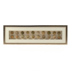 Zentique Abstract Shell Art Layered Coastal Wall Sculpture, Neutral Textured Pine & Glass, Ready-to-Hang Elegance ZEN18291A