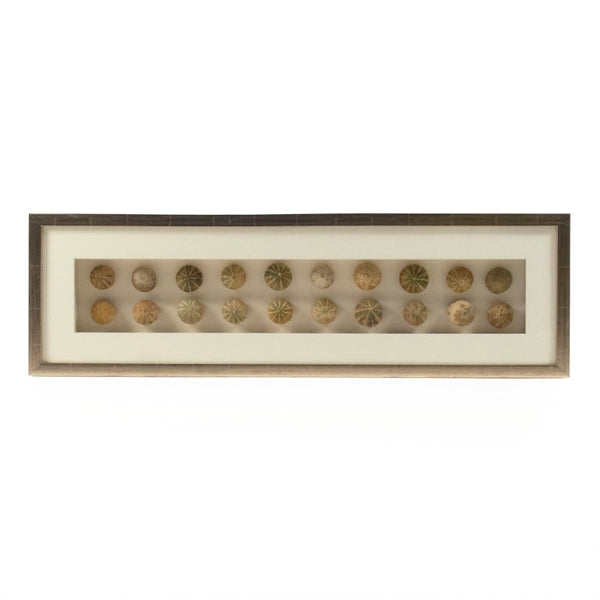 Zentique Abstract Shell Art Layered Coastal Wall Sculpture, Neutral Textured Pine & Glass, Ready-to-Hang Elegance ZEN18291A