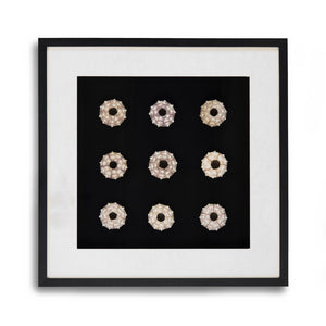 Zentique Abstract Shell Art - Elevate Your Space With Stunning Coastal Elegance And Nature-inspired Decor Round Sea Shells On Black Background In Black Frame Pine Wood,Glass Zen23378a