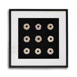 Zentique Abstract Pine Shell Art on Glass Panel — Coastal Minimalist Wall Decor, Slim 25.5cm Modern Accent Piece Round Sea Shells on Black Background in Black Frame ZEN23378A