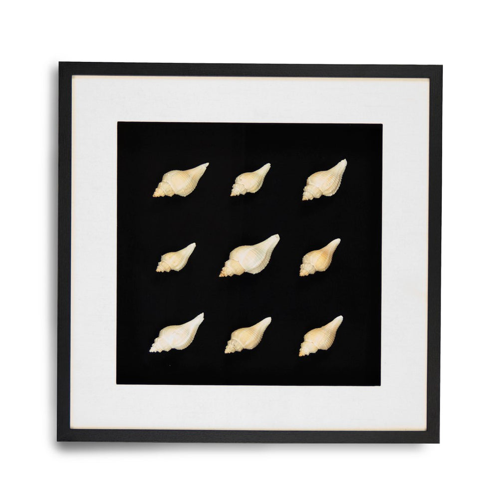 Zentique Abstract Shell Art - Elevate Your Space With Stunning Coastal Elegance And Nature-inspired Decor Round Sea Shells On Black Background In Black Frame Pine Wood,Glass Zen23378a
