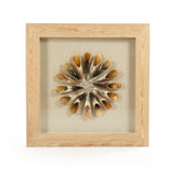 Abstract Paper Acrylic Framed Art Ox Horns on Neutral Background in Tan Frame ZEN30155G Zentique