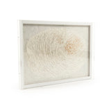 Abstract Paper Framed Art Paper on Neutral Background in White Frame ZEN30447BY Zentique