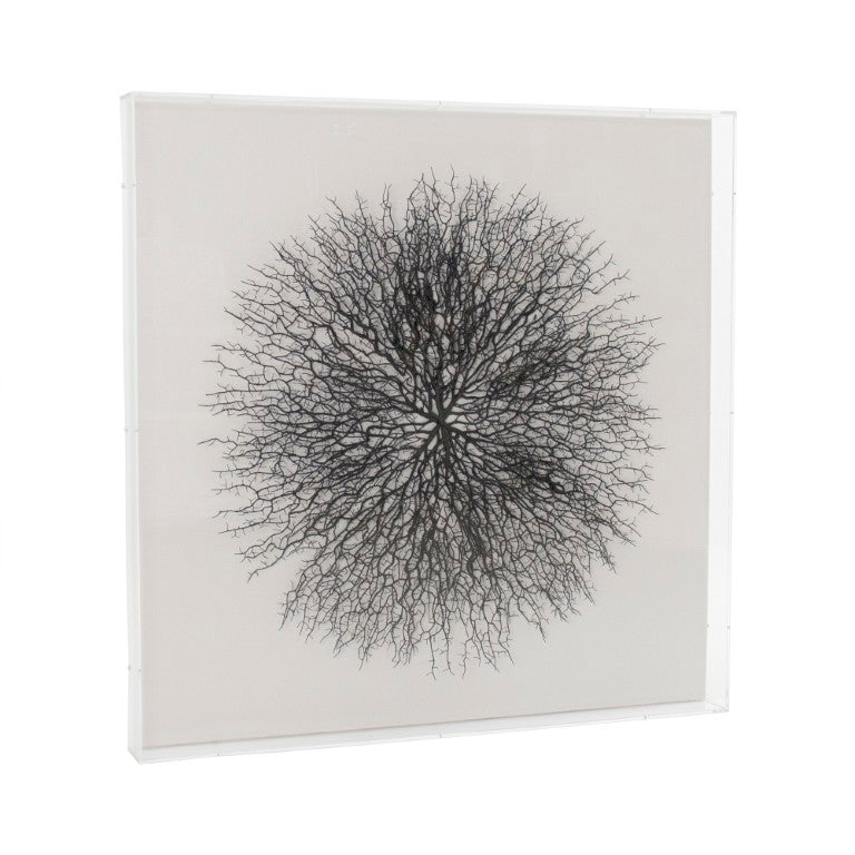 Zentique Abstract Acrylic Branch Wall Art — Layered MDF Depth, Modern Organic Accent for Minimalist Homes Black Branches, White Background ZEN35777