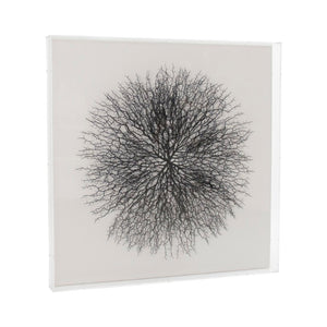 Zentique Abstract Acrylic Branch Wall Art — Layered MDF Depth, Modern Organic Accent for Minimalist Homes Black Branches, White Background ZEN35777