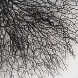 Abstract Branches in Acrylic Wall Art Black Branches, White Background ZEN35777 Zentique