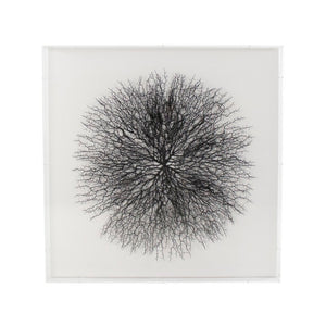 Zentique Abstract Acrylic Branch Wall Art — Layered MDF Depth, Modern Organic Accent for Minimalist Homes Black Branches, White Background ZEN35777