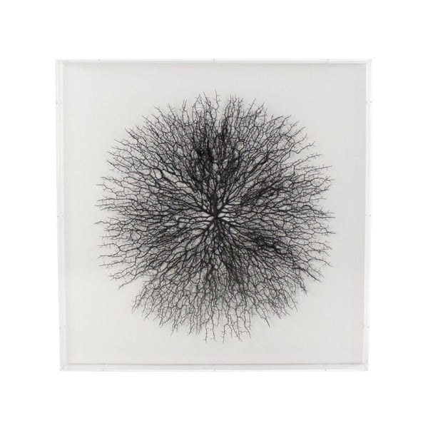Zentique Abstract Acrylic Branch Wall Art — Layered MDF Depth, Modern Organic Accent for Minimalist Homes Black Branches, White Background ZEN35777