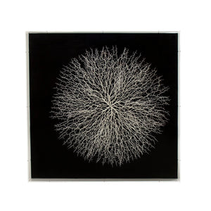 Abstract Branches in Acrylic Wall Art White Background, Black Background ZEN35778 Zentique