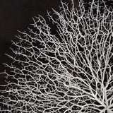 Abstract Branches in Acrylic Wall Art White Background, Black Background ZEN35778 Zentique