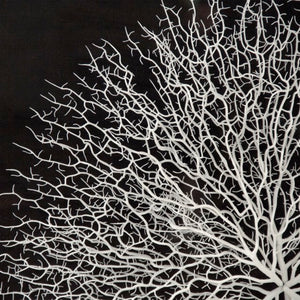 Zentique Abstract Acrylic Branch Wall Art — Layered MDF Depth, Modern Organic Accent for Minimalist Homes White Background, Black Background ZEN35778