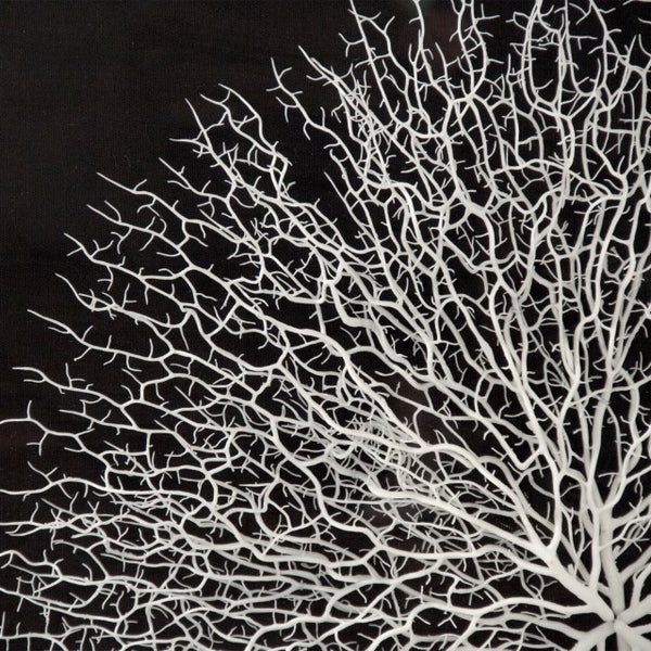 Zentique Abstract Acrylic Branch Wall Art — Layered MDF Depth, Modern Organic Accent for Minimalist Homes White Background, Black Background ZEN35778