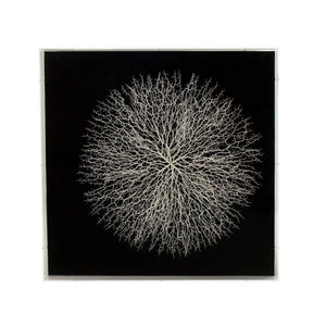 Zentique Abstract Acrylic Branch Wall Art — Layered MDF Depth, Modern Organic Accent for Minimalist Homes White Background, Black Background ZEN35778