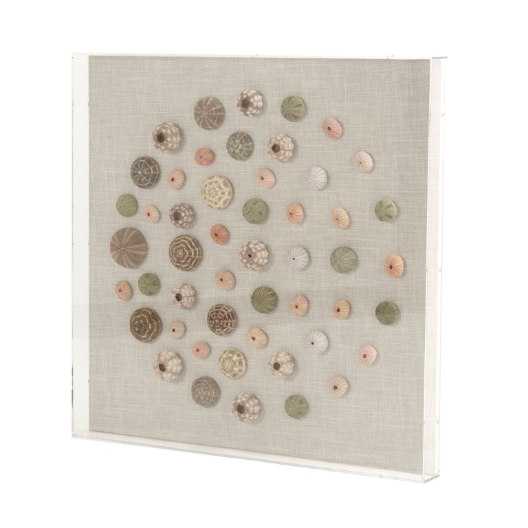 Zentique Abstract Shell Wall Art Contemporary Coastal Acrylic & Real Shell Embellishments on MDF, Ready-to-Hang 35.5"x35.75" ZEN36233