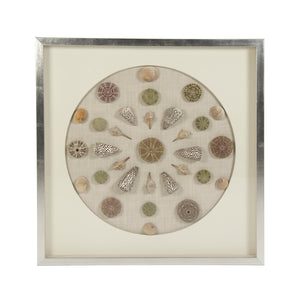 Abstract Shell Wall Art Assorted Shells, Silver Frame ZEN36706 Zentique