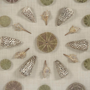 Zentique Abstract Shell Wall Art: Handcrafted Pine Panel with Real Shells & Glass Inlays for Coastal Texture and Shine W31.5 x H31.5 x D3 ZEN36706
