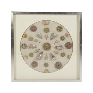 Zentique Abstract Shell Wall Art: Handcrafted Pine Panel with Real Shells & Glass Inlays for Coastal Texture and Shine W31.5 x H31.5 x D3 ZEN36706
