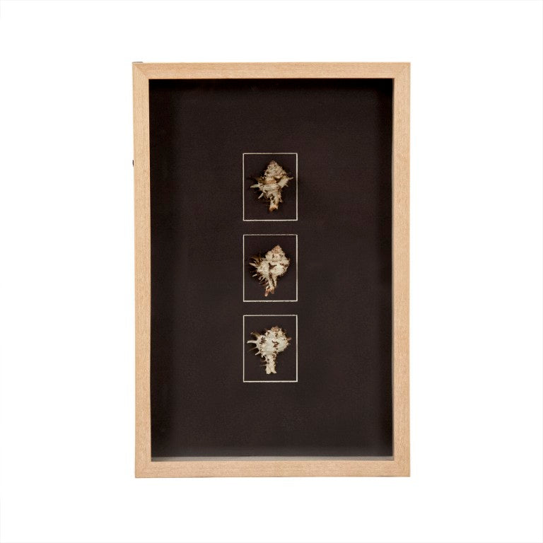 Zentique Abstract Shell Wall Art: Handcrafted Pine Panel with Real Shells & Glass Inlays for Coastal Texture and Shine W23.5 x H15.5 x D3 ZEN37165