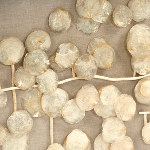 Abstract Mother of Pearl Wall Art Ivory, Tan, Yellow ZEN37338 Zentique