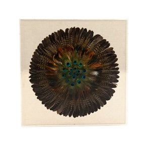 Abstract Feather Acrylic Framed Wall Art Ivory, Brown, Black, Green, Blue, Orange ZEN40037 Zentique