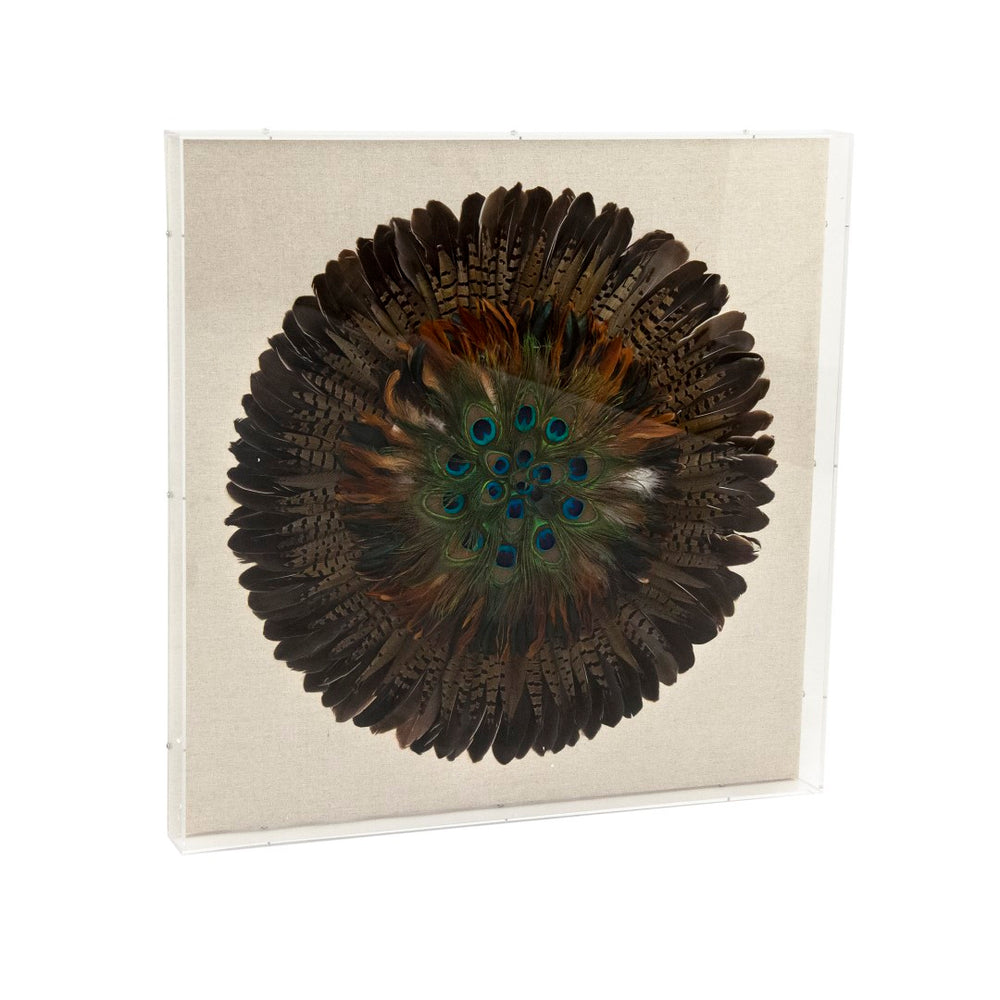 Abstract Feather Acrylic Framed Wall Art Ivory, Brown, Black, Green, Blue, Orange ZEN40037 Zentique