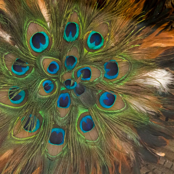 Zentique Abstract Peacock Feather Acrylic Wall Art 32x32 in MDF Frame — Vibrant, Glossy, Gallery-Ready Accent ZEN40037