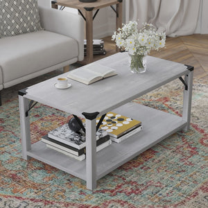 English Elm Wyatt Modern Farmhouse 2-Tier Coffee Table with Stylish Black Metal Accents and Sturdy Design Aspen Gray ZG-037-LTGY-GG