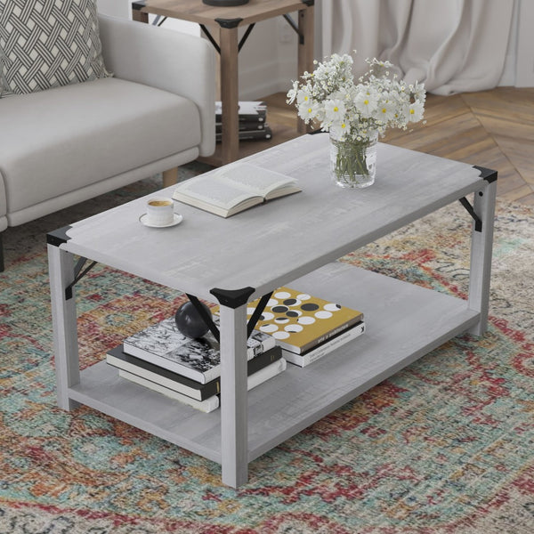 English Elm Wyatt Modern Farmhouse 2-Tier Coffee Table with Stylish Black Metal Accents and Sturdy Design Aspen Gray ZG-037-LTGY-GG