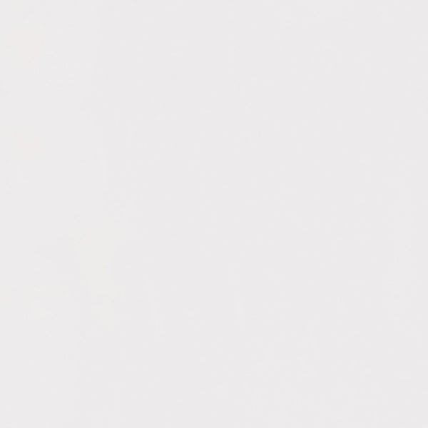 English Elm Revna Set of 4 Transparent Crystal Ghost Chairs - Stylish, Durable, and Comfortable for Every Occasion ZH-GHOST-OVR-4-GG