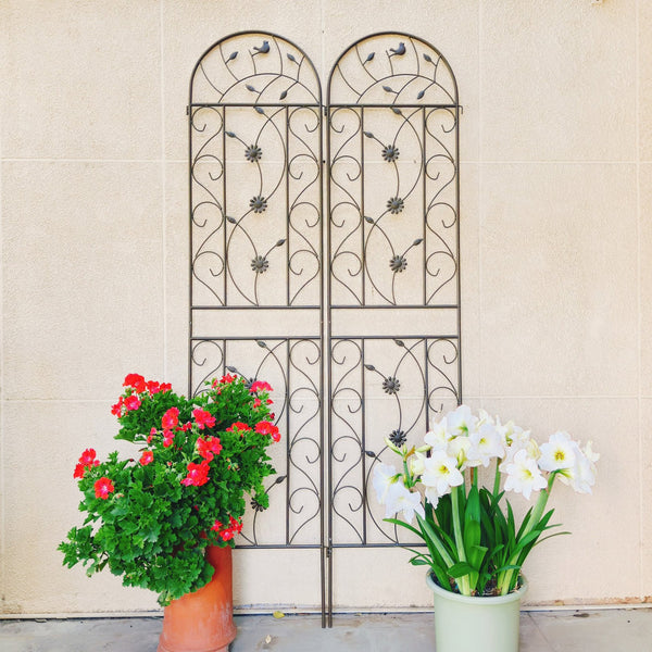 English Elm 2 Pack Powder Coated Steel Garden Trellis Tall Rustproof Climbing Plant Support Panels W1586P243847