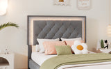 English Elm Twin Size Upholstered Bed Frame With Led Lights,Modern Velvet Platform Bed With Tufted Headboard,Grey