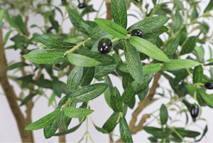English Elm 8ft Artificial Olive Tree with Natural Wood Trunk Faux Fruit and Lifelike Foliage W2945P458768