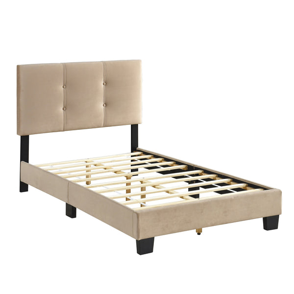 English Elm 1pc Twin Platform Bed Velvet Upholstered Button-Tufted Headboard Adjustable Height Low-Profile Solid Wood Frame 42" x 79.5" Light Brown 44.5 L x 26 W x 5 H B011P203575