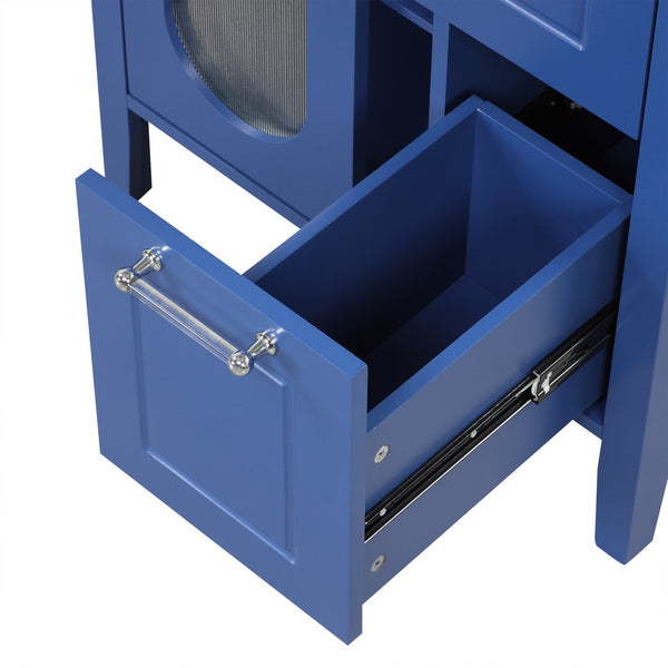 English Elm 24" Modern Bathroom Vanity with Ceramic Sink, Solid Wood & MDF Cabinet, Two Drawers, Shelf Blue N725P245273C