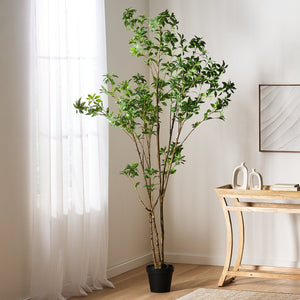 English Elm 240cmartificial Pieris Tree Lifelike Cascading Foliage Tall Indoor Botanical Accent 74348.00