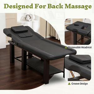 English Elm Spa Salon Massage Table Steel Frame Pu Leather Adjustable Backrest Bottom Shelf Storage W1422P382933