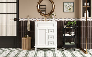 English Elm 24" Bathroom Vanity With Elegant Ceramic Sink, Stylish Storage, And Timeless French Design For Small Spaces N710P318989K