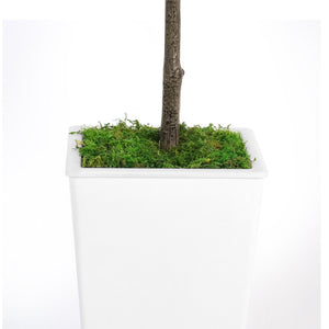 English Elm Artificial Olive Tree 6Ft In Pot With Faux Moss - Elegant Décor For Home & Office, Low Maintenance T3210P298176