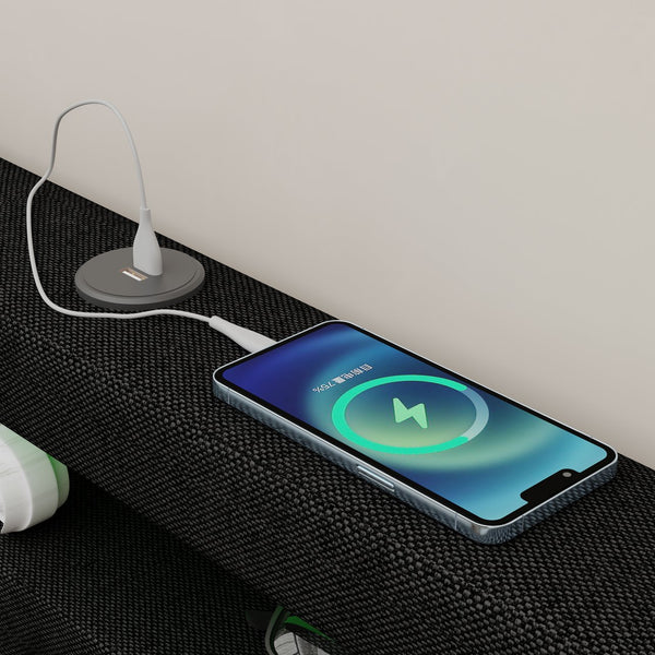 English Elm Queen Upholstered Bed Frame with Headboard, USB Charging, RGB LED Lights & 4 Storage Drawers, Dark Gray W1960P175566