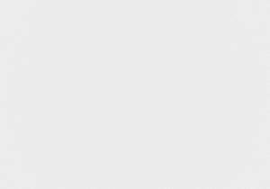 English Elm Office Chair, Adjustable Ergonomic Design, Stylish White Leather Look For Kids' Desk & Gaming B2710P219781