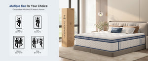 English Elm Twin Size Mattress - 10-Inch Hybrid With Pocketed Coils For Ultimate Comfort & Motion Isolation W2889P335715-GIGA