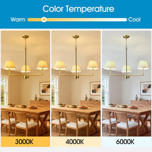 English Elm 3-light Gold Rope Wrapped Chandelier with Fabric Shades for Dining and Living Rooms W5008P391554