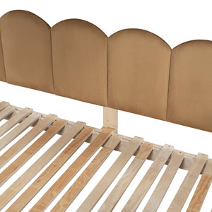 English Elm Twin Pinewood Ground-Level Canopy Bed with Arched Roof and Trundle for Kids—Whimsical, Sturdy Design White N820P181648K