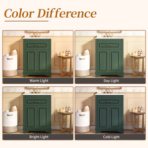 English Elm 24" Matte Single Sink Vanity Solid Poplar Frame Gold Hardware Soft Close Cabinet Green N710P389449F